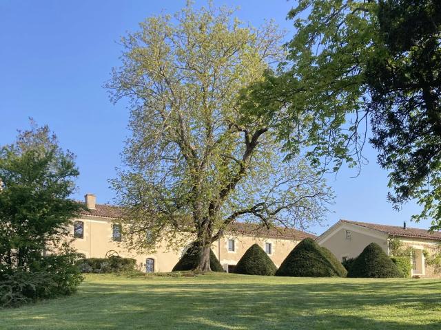 Maison 19 pièces 667 m²