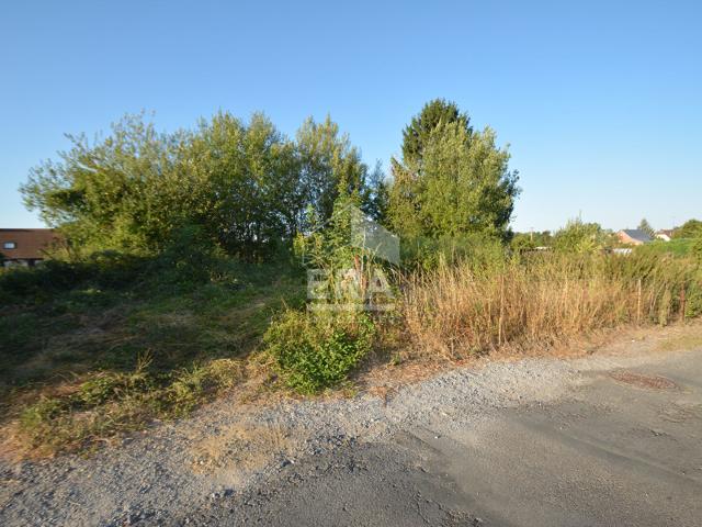 Maison 1 275 m²