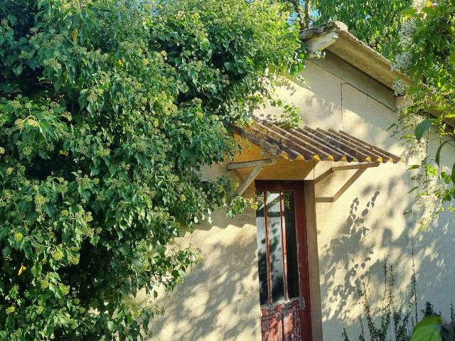 Maison 1 pièce 40 m²