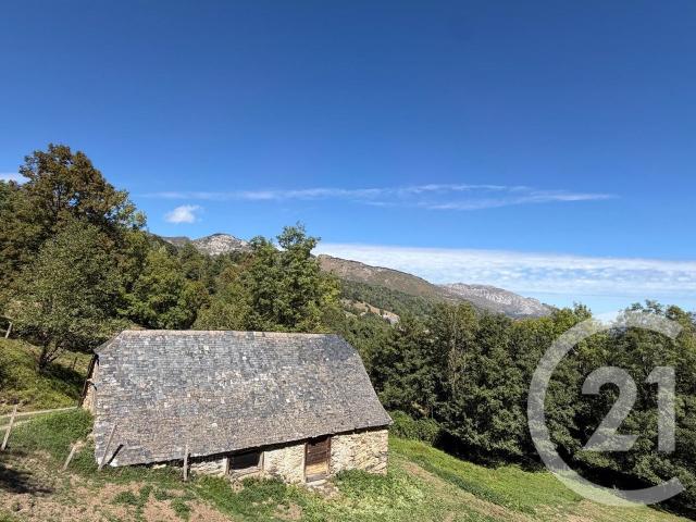 Maison 1 pièce 99 m²