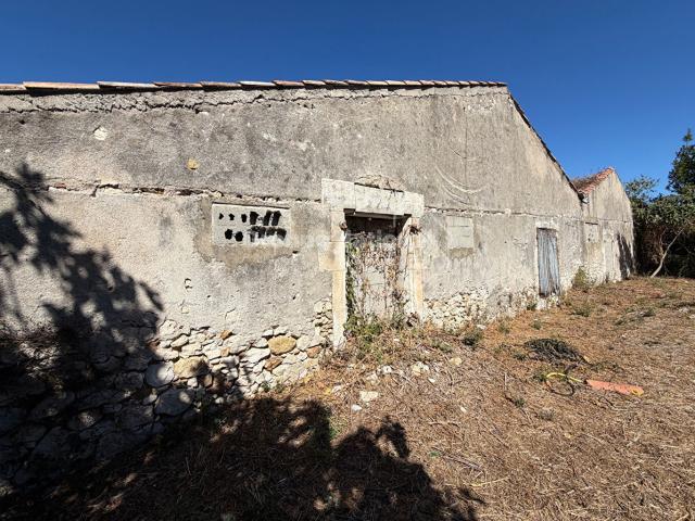 Maison 1 pièce 100 m²