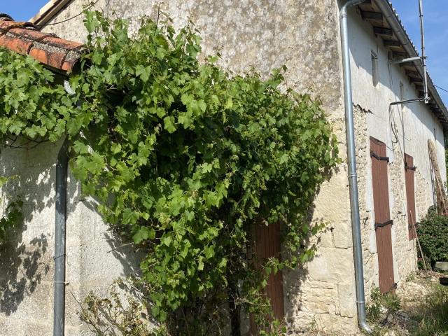 Maison 1 pièce 150 m²