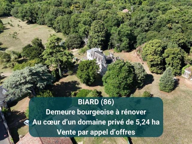 Maison 1 pièce 330 m²