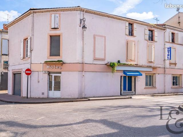 Maison 29 pièces 710 m²