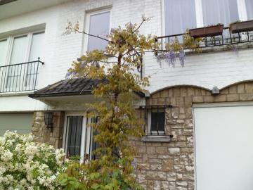 Maison 2 ch. à Woluwe St Pierre Quartier Chant d'Oiseau