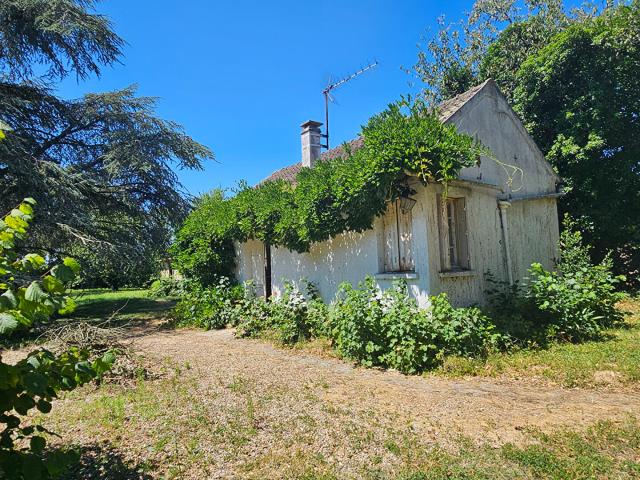 Maison 2 pièces 33 m²