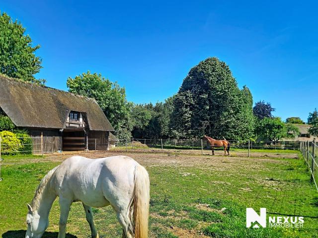 Maison 2 pièces 45 m²