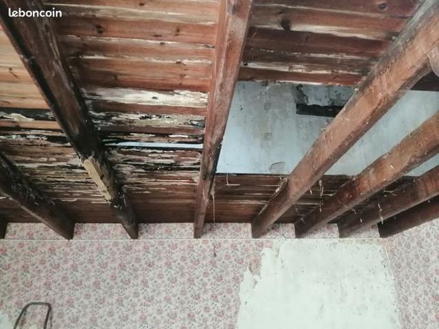 Maison 2 pièces et jardin