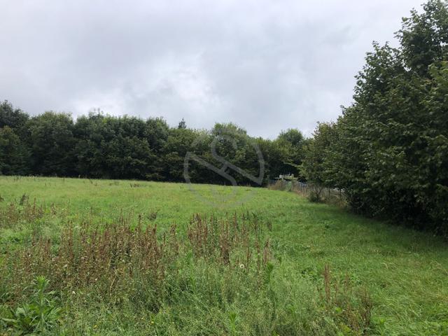 MAISON 38690 BELMONT AVEC TERRAIN CONSTRUCTIBLE 1869M2