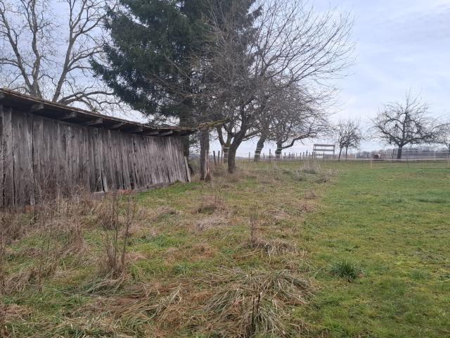 Maison 7 pièces 125 m²