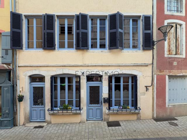 Maison 7 pièces 249 m²