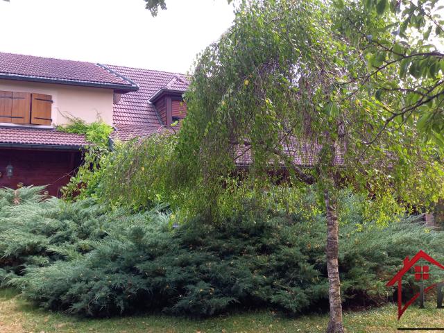 Maison 7 pièces 242 m²