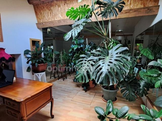 Maison 7 pièces 353 m²