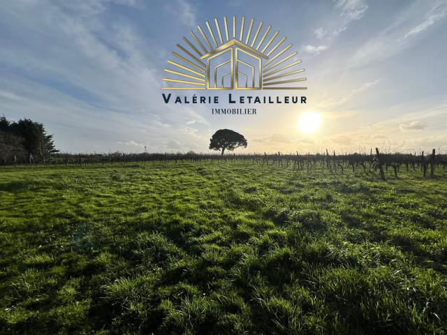 Maison 420 m2 à rénover sur une parcelle de 1854m2 avec vue. 420m² Saint Quentin de Baron