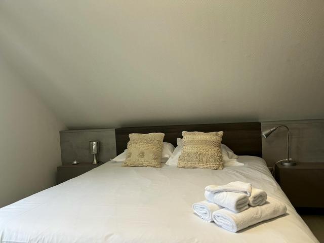 Maison 4 chambres, Plobsheim Plobsheim 67115 DS74031359