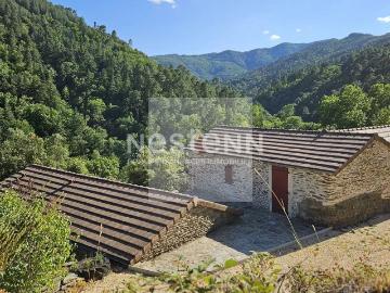 Méditerranée, La Languedocienne Montpellier, Maurin, Hérault, Languedoc-Roussillon