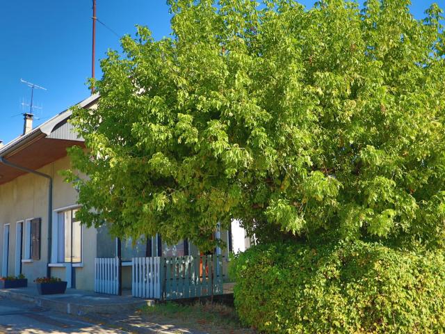 Maison 4 pièces 113 m²
