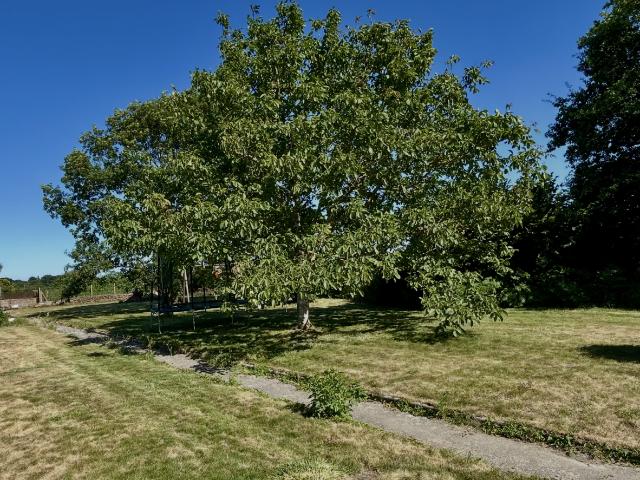 Maison 4 pièces, 145 m² à louer à Plélan le Petit 22980