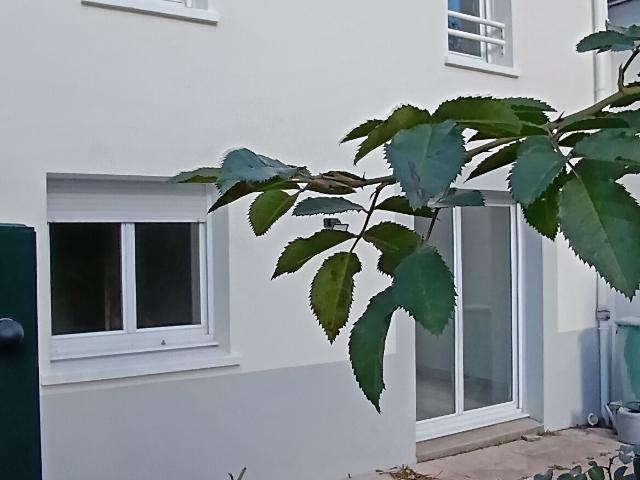 Maison 4 pièces 75 m²