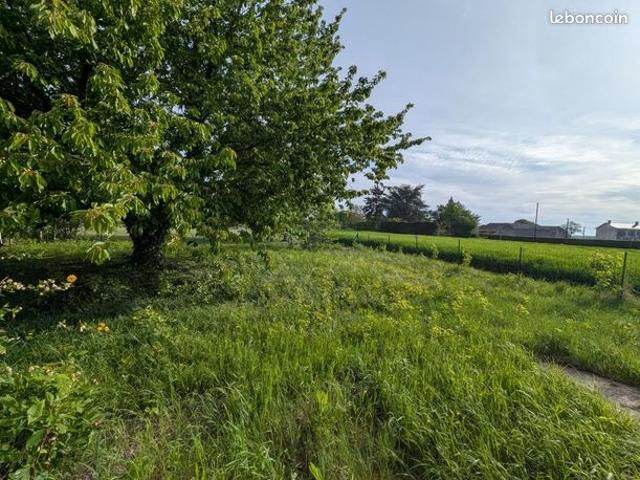 Maison 4 pièces 78 m²