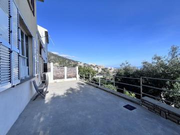 20410, Muchieta, Haute-Corse, Corse - Jardin