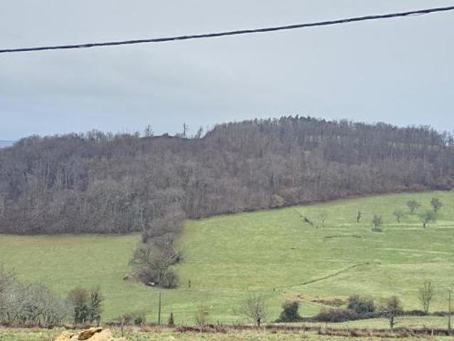 Maison 4 pièces Brussieu 389000