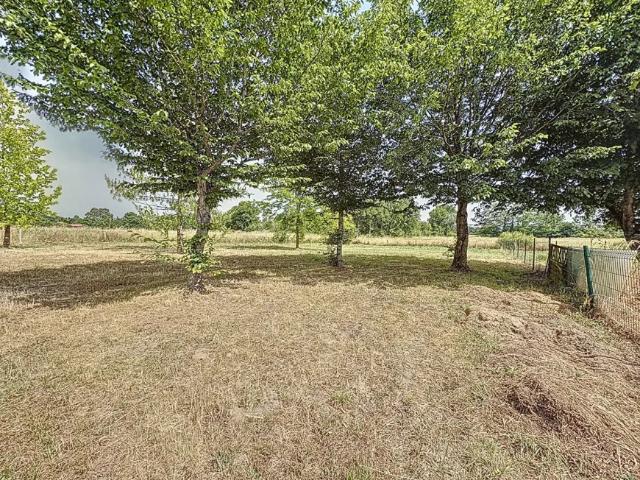 Maison 5 chambres, Saint Anjou 49160 ES93722989
