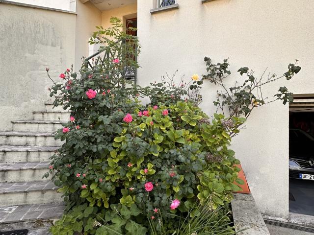 Maison 5 pièces 122 m²