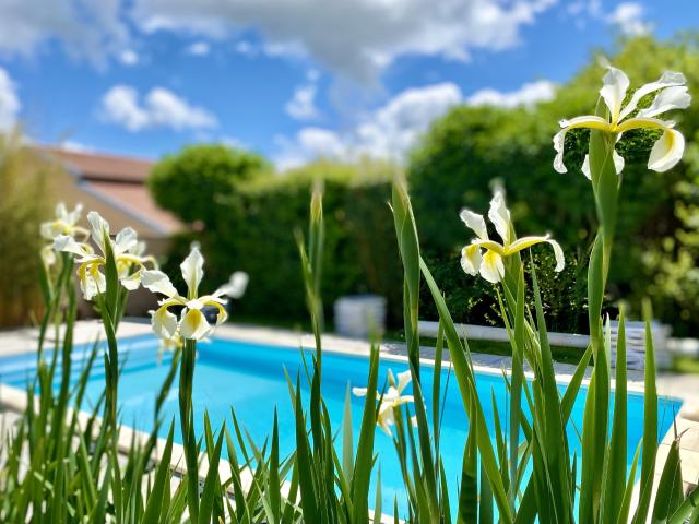 Maison 5 pièces 233 m²
