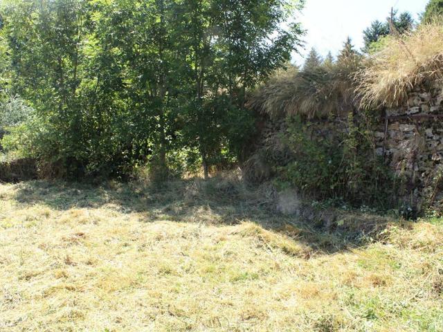 Maison 5 pièces 279 m²