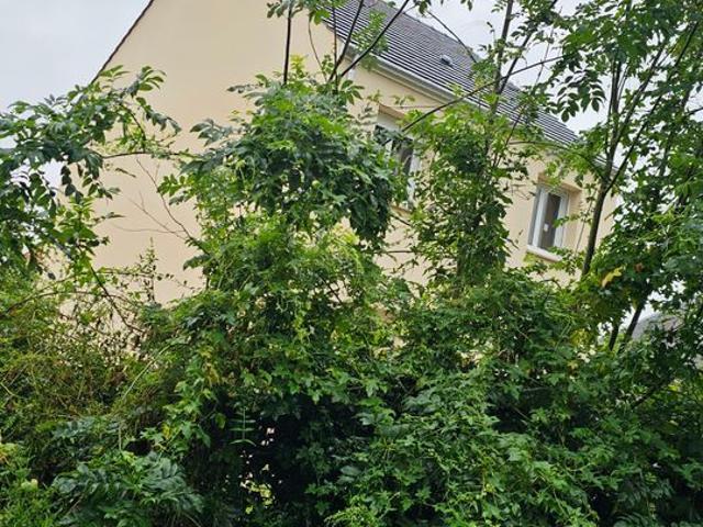 Maison 5 pièces, 88 m² à louer à Paray Douaville 78660