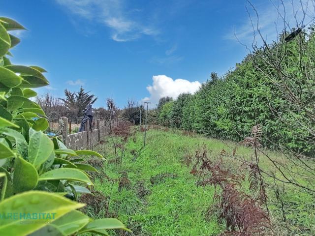 Maison 5 pièces 91 m²