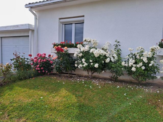 Maison 5 pièces, 97 m² à louer à Reims 51100
