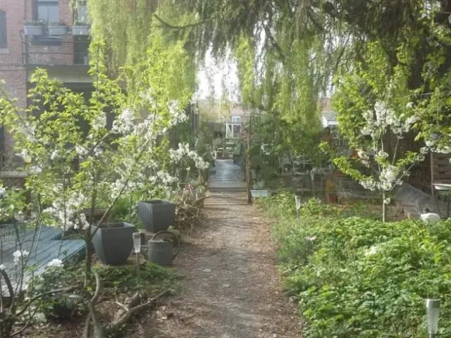 Maison 6 chambres, Avesnelles Nord 59440 DS94122696