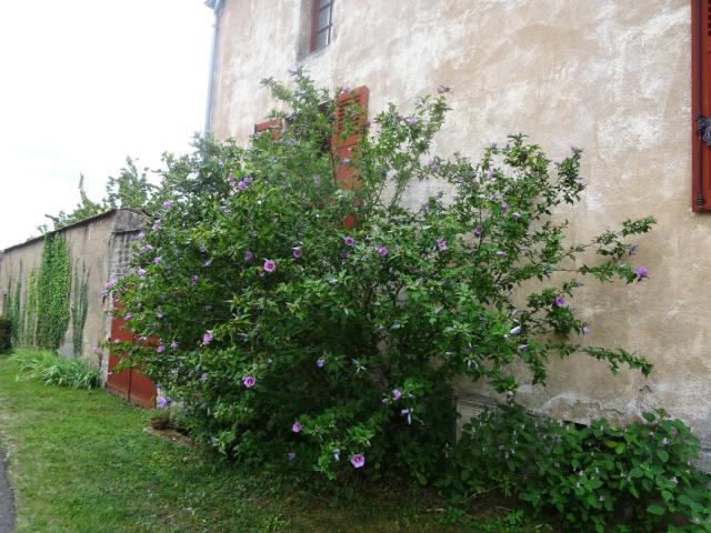 Maison 6 pièces 100 m²