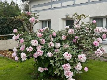 Maison 6 pièces, 130 m² à louer à Rezé 44400