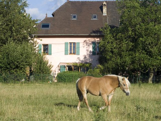 Maison 6 pièces 170 m²