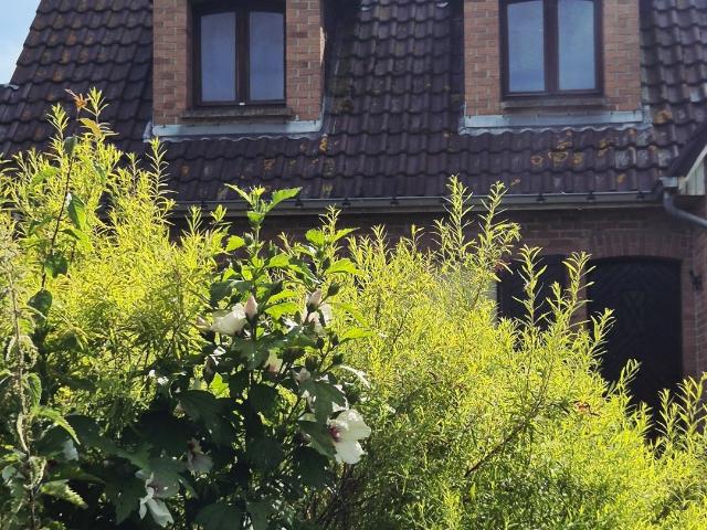 Maison 6 pièces 180 m²