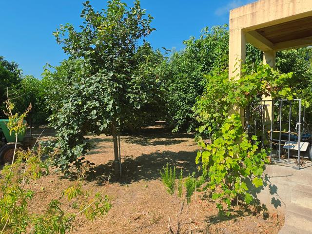 Maison 6 pièces 217 m²