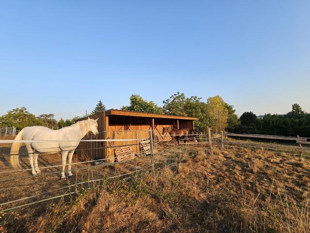 Maison 6 pièces 210 m²