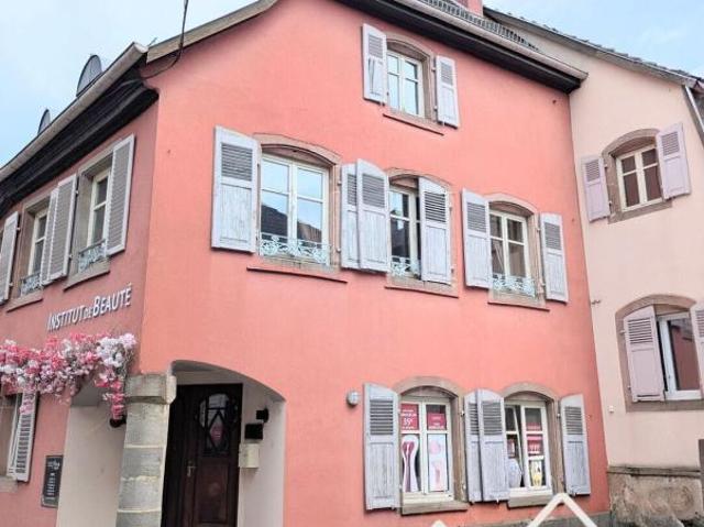 Maison 6 pièces 258 m²