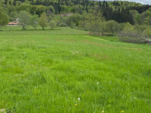Maison 77 m² avec terrain à LE BRUGERON 63