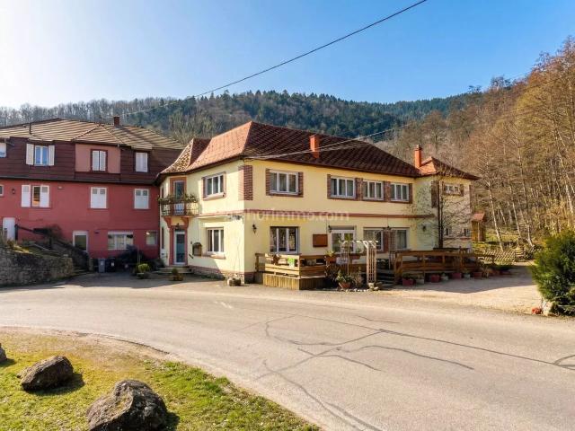 Maison 8 pièces 240 m²