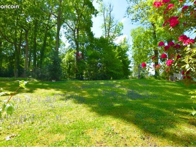 Maison 8 pièces 262 m²