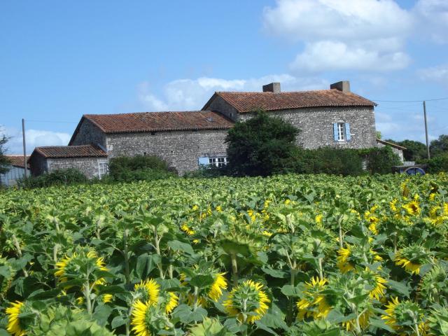 Maison 8 pièces 346 m²