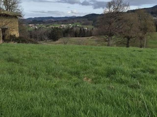 Maison 99 m² avec terrain à AUGEROLLES 63