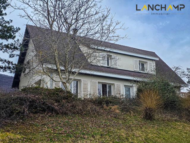 Maison 9 pièces 226 m²