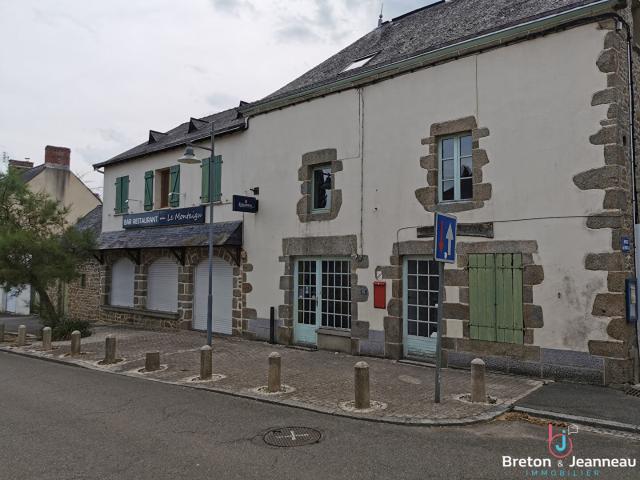 Maison 9 pièces 294 m²