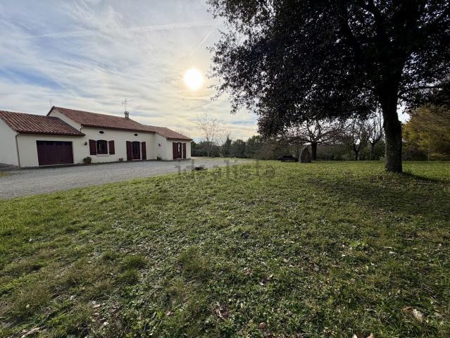 Maison, Coteaux du Blanzacais