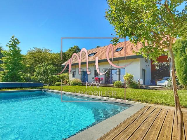 Maison, Colombe